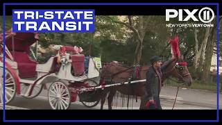 Mamdani, Menin strike deal to end NYC horse carriage industry: sources