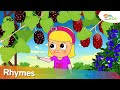 Berries Song in Telugu Rhymes Plus Much More Rhymes For Kids | Sheamroo Kids Telugu