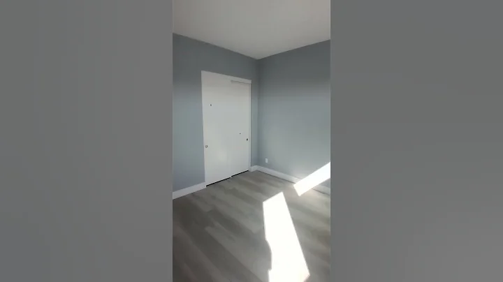 Interior Painting Walls Emerald Satin SW-9165 Gossamer Veil 8