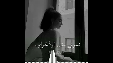 زينة عماد معقول إنساك 