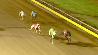 GEL TUE 14 APR 26 ST1