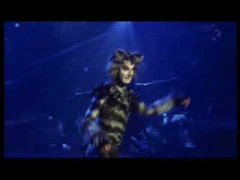 Cats - Be Prepared