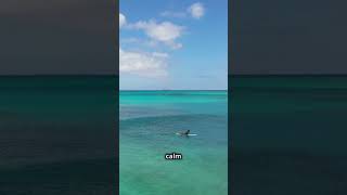 🌊 Seeing Ocean in Your Dream Meaning!  #dreammeaning