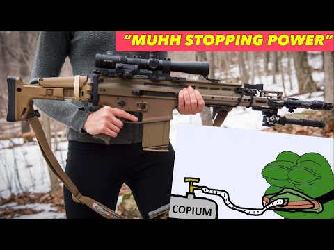 Battle Rifles SUCK for WROL - 2025 Edition