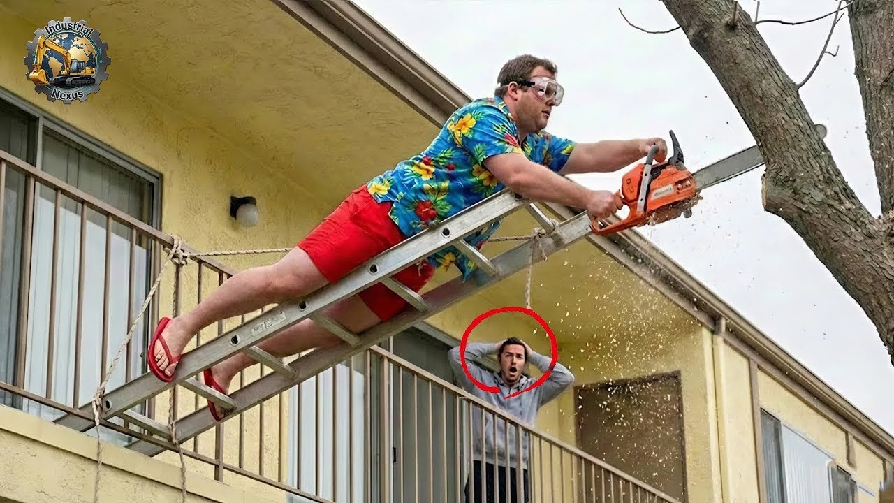 Idiots With Chainsaws: Tree Cutting Fails | Extreme Dangerous Logging Truck Fails #1