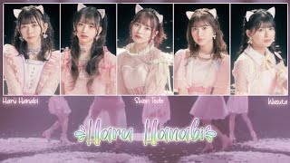 Wasuta - Haru Hanabi (春花火) - Full & Lyrics [KAN/ROM/ENG]