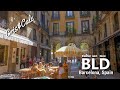 Barcelona, Spain | Best Restaurants | Where to Eat | Suculent | Ziryab | El Chigre | Can Ramonet