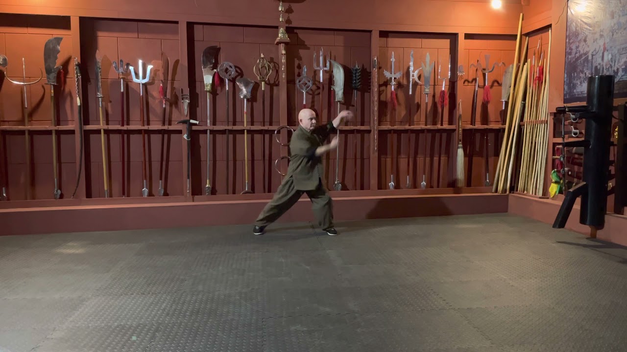 Shaolin southern five animal form