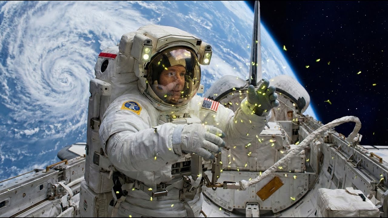 Najdziwniejsze rzeczy, które astronauci widzieli w kosmosie