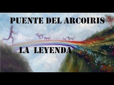Las mascotas fallecidas y El Puente del Arcoiris, la leyenda. - YouTube