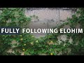 Fully Following Elohim