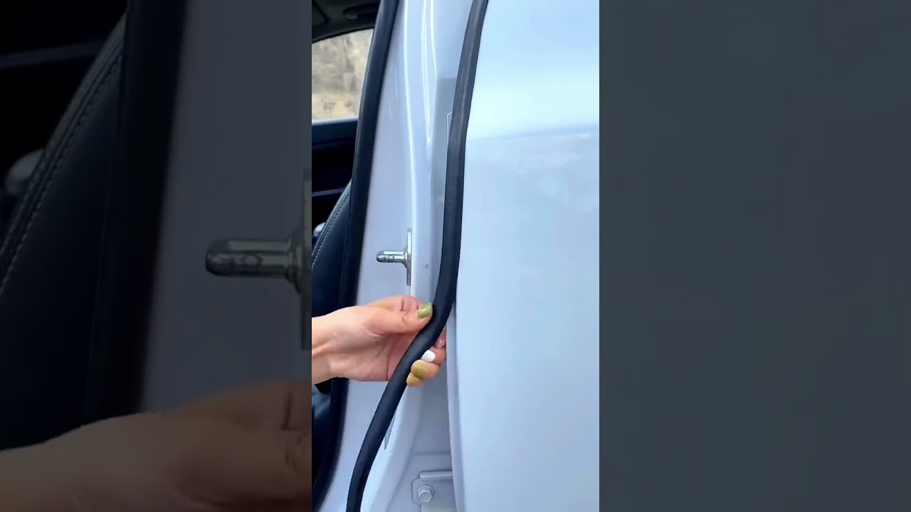 Car door seals  