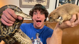 I Fed a Python to a Prairie Dog (Big Ounce Dies)