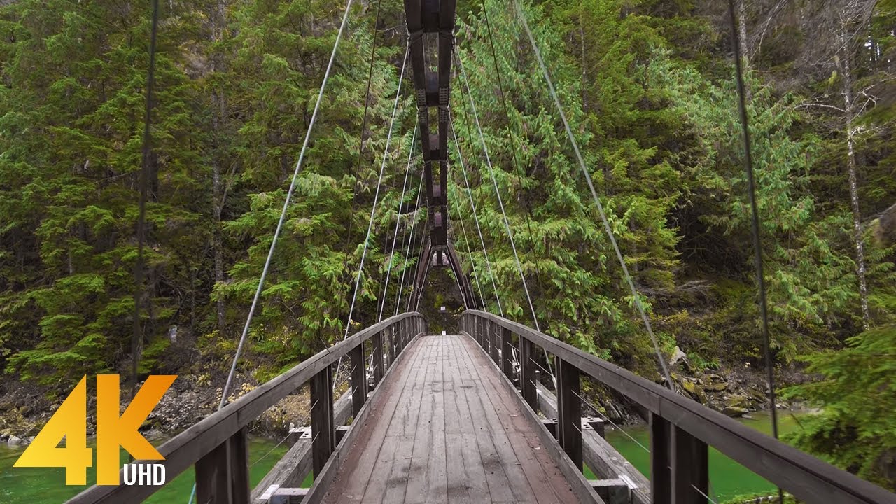 4K Pratt River Trail - Mystic Forest Virtual Walk - Short Preview Video