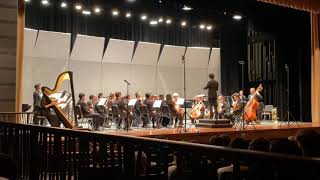 SEMYO 2020 Winter Concert “Symphony No.1” Sibelius