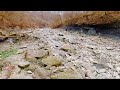 Weird  Things  Found  in  Rapid  Run  Creek,  Delhi  Township,  Cincinnati,  Ohio