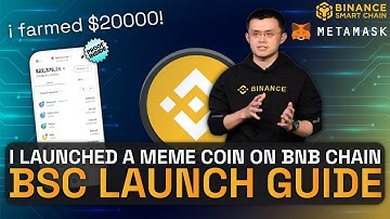How I Launched a Meme Coin on Binance Chain & Farmed $10000