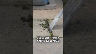 One Way to Remove a Paving Stone: Use a Putty Knife 🛠️