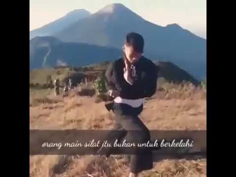 Latihan Seni Tarung & Tendangan Target PSHT. 