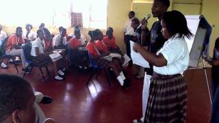 Diamonds In The Rough Mentoring Programs Values Session..