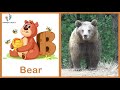 ABC Animals Flashcards With Animals Sounds For Toddlers &amp; Preschoolers Mp3 Song