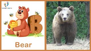 ABC Animals Flashcards With Animals Sounds For Toddlers & Preschoolers