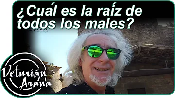 ¿Qué pecado es la raíz de todos los males?