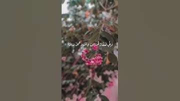 و إني لغفارٌ لمن تاب و آمن وعمل صالحاً ثم اهتدى | سورة طـه | صوت القـارئ شريف مصطفى