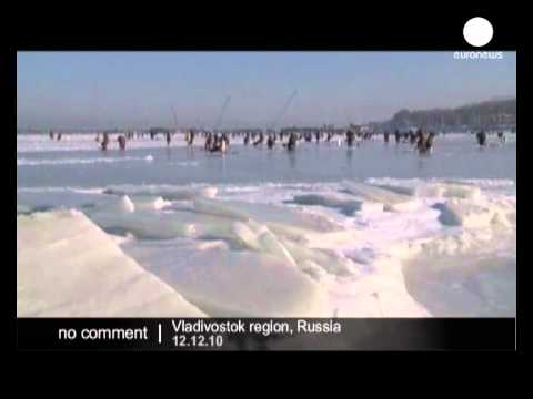 Fishing through ice in Vladivostok - no comment