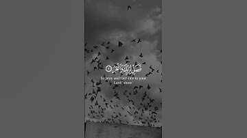 سورة الكوثر _ القارئ عبد الرحمن مسعد