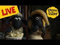 Shaun The Sheep TV! Brand New Live Stream - Full Episodes - Cartoons for kids - Farm Animals!