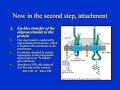 #CSIR NET LIFE SCIENCES/IITJAM/GATE LIFE SCIENCES#pmt#biology#gate biotech#cell biology