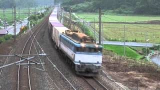 4060レ 牛ノ谷-細呂木 EF81-454