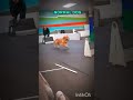 ☠️AURA DOG🔥+999999999998☠️#funnyvideo #funny #shortsfeed #viralvideo #trending #funnyshorts #explore