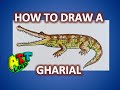 How to Draw a GHARIAL