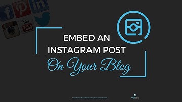 How To Embed an Instagram Post to Your Blog