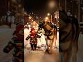 Cutest Babies and Animals shorts #shortsfeed #ytshorts #trending #aiart #shortsviral #minianimal