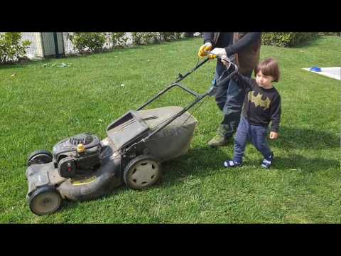 Video: Toprağı Kesilmiş Otla Malçlama: Bir çim Biçme Makinesinden Taze Kesilmiş çimlerle Bahçedeki Havuçları Ve Diğer Sebzeleri Malçlayabilir Misiniz? Fayda Ve Zarar