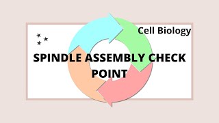 SPINDLE ASSEMBLY CHECK POINT I  CELL CYCLE #csirnet  #cellcycle  #cellbiology