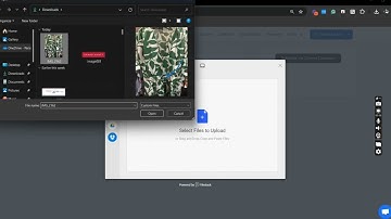 How to Bulk Schedule Photos to Threads