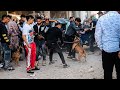 جوله في سوق الكلاب   سوق الجمعه اسعار الكلاب من سوق الكلاب   نجومي