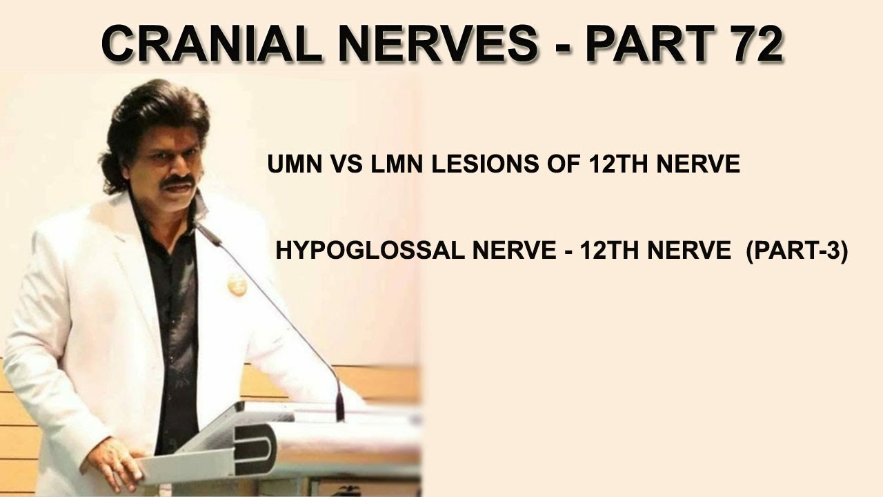 What Is Umn Vs Lmn What Is Umn Vs Lmn