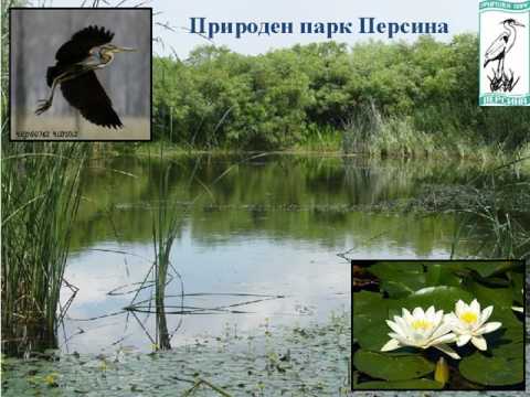 Видео: Най-добрите дейности в Националния парк Ашевил и Големите димни планини