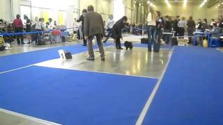 MVI_0147.AVI