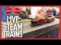 MINIATURE MARVELS! Incredible Gauge 1 LIVE STEAM locomotives!
