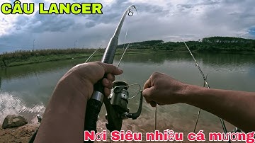 Câu Cá Chép tự nhiên mùa đông bằng Lăng Xê ở con đập siêu nhiều cá mương to khủng khiếp...