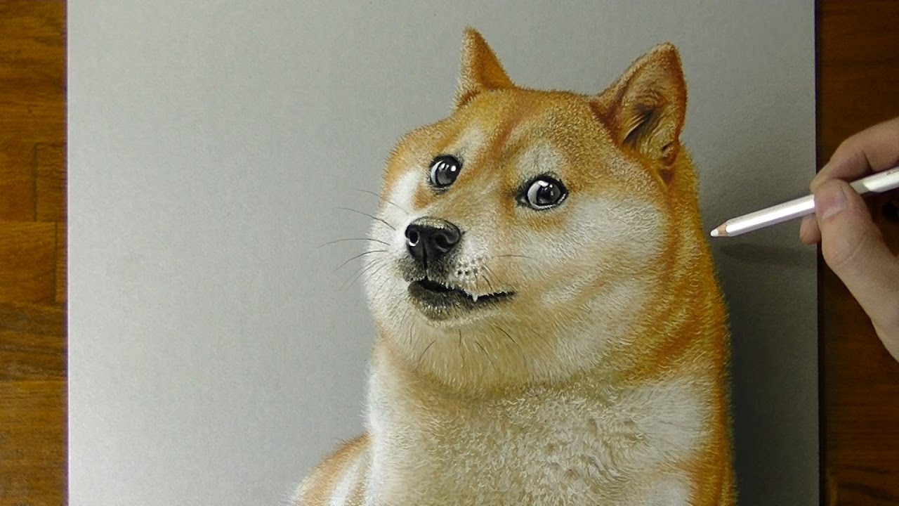Wow Doge Dog Drawing Youtube