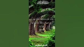 القرآن الكريم(ما تيسر من سورة فاطر)