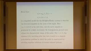 Multiple Speakers | Localized pulse solutions in FitzHugh-Nagumo equations
