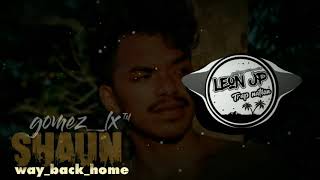 SHAUN_way_back_home_[gomez_lx]_2020